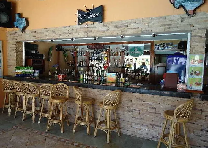 Hotel Elena *